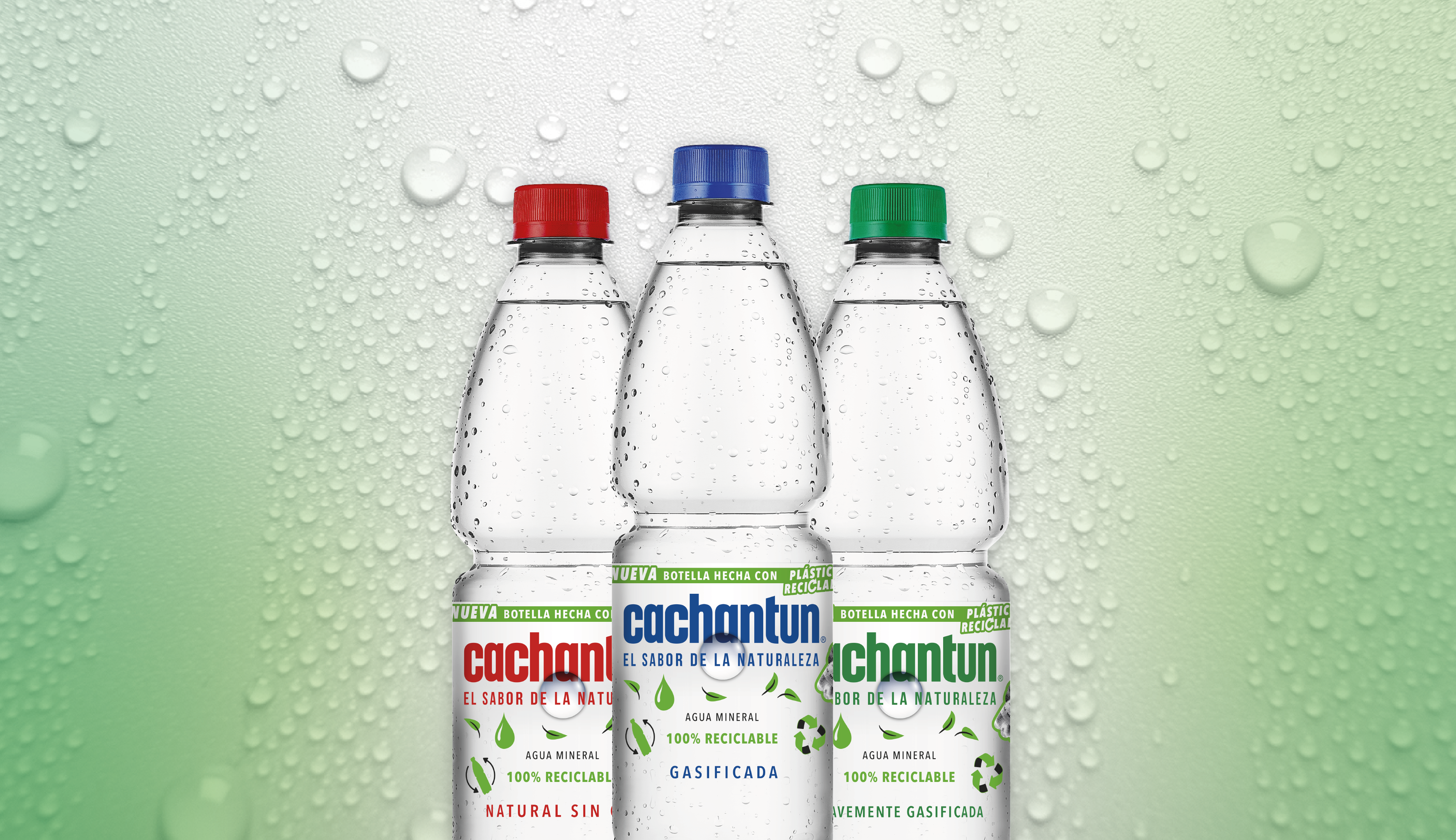 15% PET Reciclado
