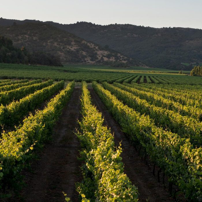 Header Nuestra Estrategia - Nuestro Planeta