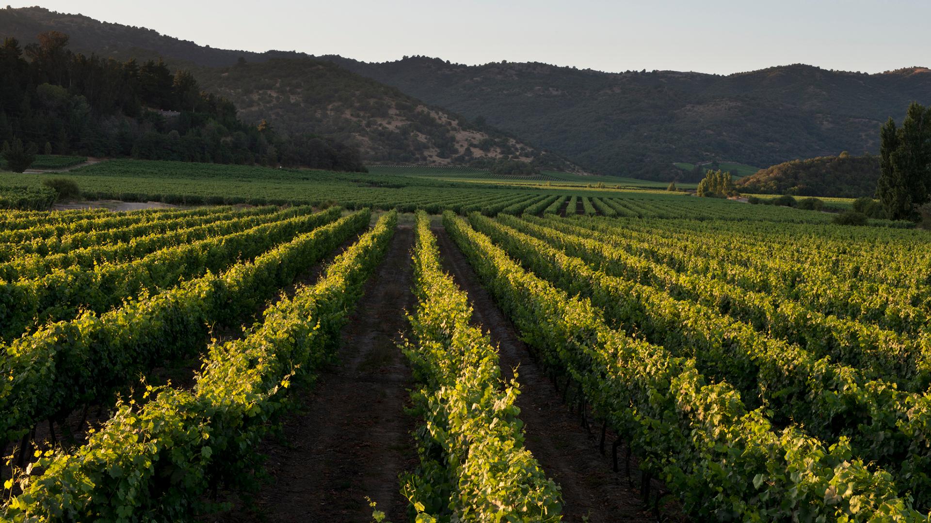 Header Nuestra Estrategia - Nuestro Planeta